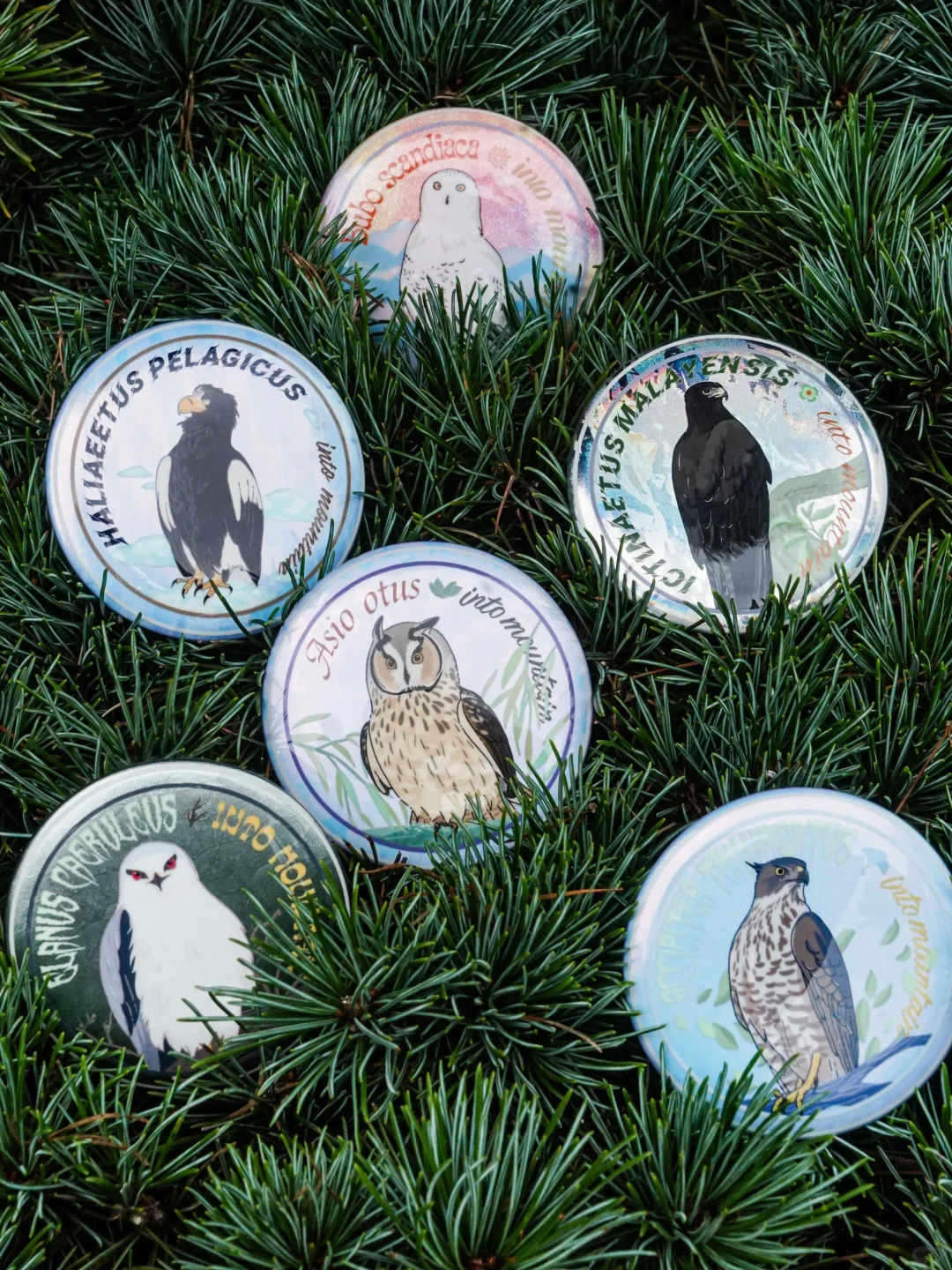 Button Badge · Double-Flash Glitter Back by Lucy Patterson