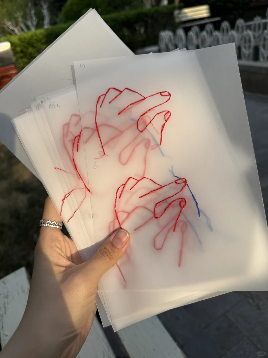 Vellum Print · 135 g Translucent Sheet by Mia Ross